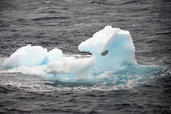 01C Iceberg With A Window Sailing Between Aitcho Barrientos Island And Deception Island On Quark Expeditions Antarctica Cruise Ship.jpg